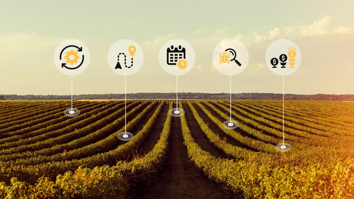 Tecnologia no Agronegócio: como impulsionar as soluções digitais?